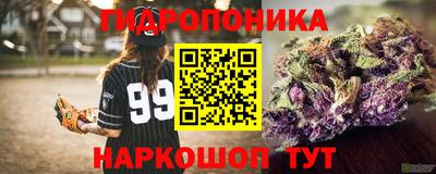 спиды Вышний Волочёк
