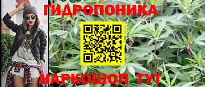 спиды Вышний Волочёк