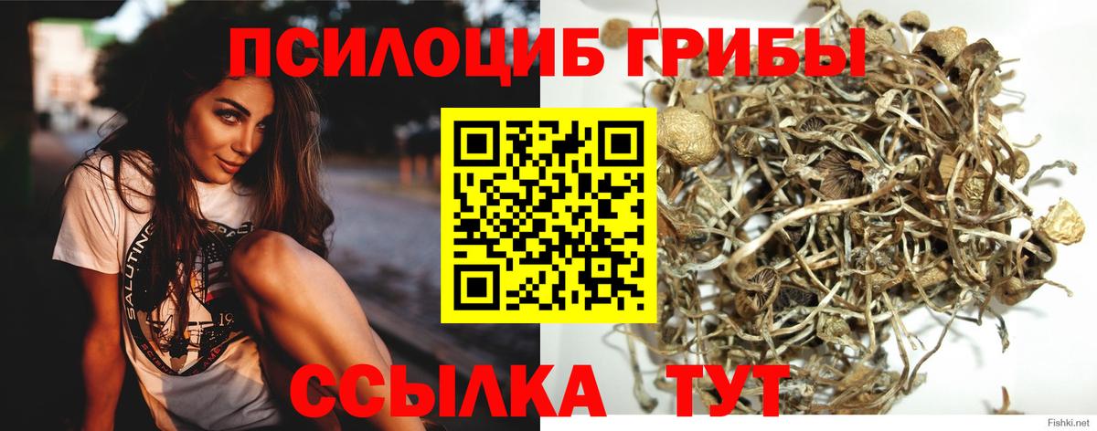 Ликино-Дулёво  Псилоцибиновые грибы Psilocybine cubensis  Вход с VPN  Псилоцибиновые грибы MAGIC MUSHROOMS 